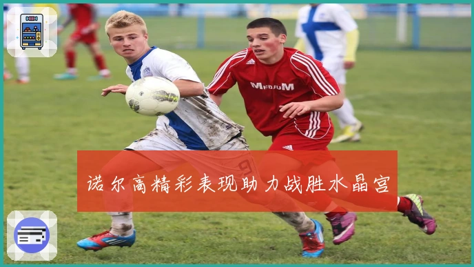 诺尔高精彩表现助力战胜水晶宫